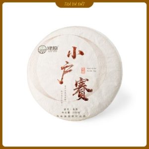 trà tiểu phú trại