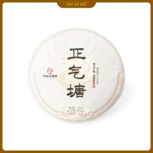 trà chính khí tang