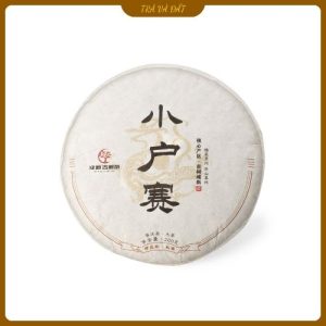 trà tiểu phú trại